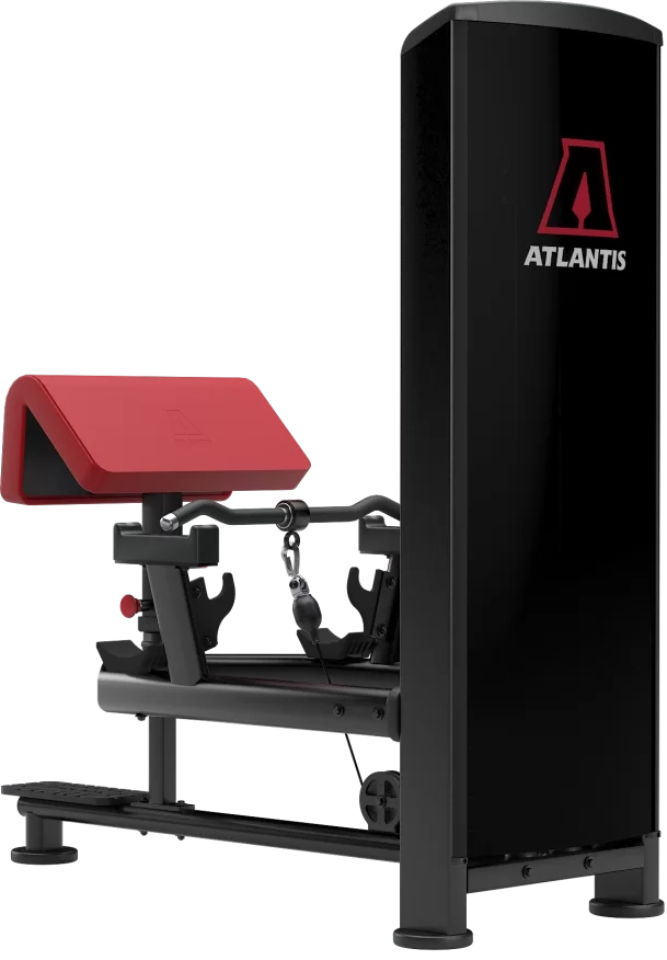 Atlantis Precision Standing Bicep Curl